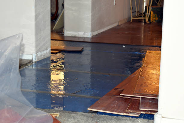Professional Flood Cleanup technician working in Esmond, IL
